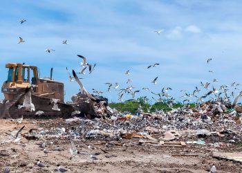 Dumpsite expansion and cleanup begins
