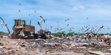 Dumpsite expansion and cleanup begins