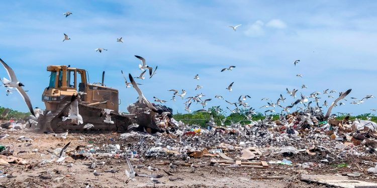 Dumpsite expansion and cleanup begins